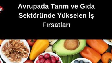 Yükselen İş Fırsatları